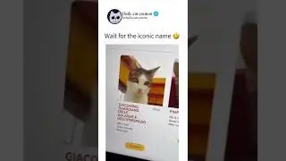 Wait For The Legendary Cat Name