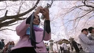 Muslim Travelers - Kisah Islam di Utara Jepang