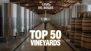 ¿Es Casas del Bosque la MEJOR Viña para un Tour de Vinos?