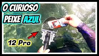 Brilhou!!!  Encontrei IPHONE e OURO na PRAIA do PEIXE Azul.  / 金属探知機  / Detector de Metais na Praia!