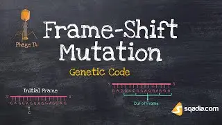 Genetic Code | Frame-Shift Mutation | Triplet Code | Adenine, Guanine, Cytosine, Thymine