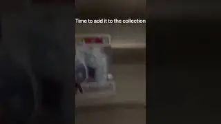My new Rey Mysterio pop￼