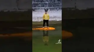 Cute Girl Riding Fish Real Or Fake Comment Below @littlefishhub | Falcon Aquarium Services Services