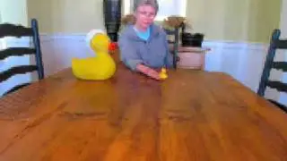 Calling All Ducks
