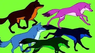 how to download green screen video ! 15 multple color running fox dog ! no copy right claim HD 1080