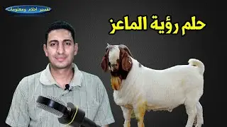 ماذا يدل رؤية الماعز فى الحلم رؤية الماعز للعزباء والرجل والمتزوجة والحامل ورؤية الماعز للميت !!
