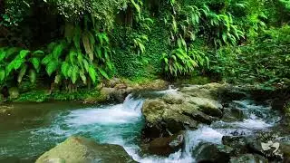 Relaxing River Sounds at Night | Calm Natural Water Flow for Deep Sleeping