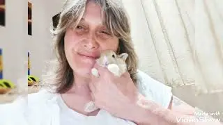 MINI TOY NANI I PICCOLISSIMI...600..800 GRAMMI