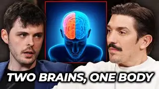 What Split-Brain Patients Teach Us About Consciousness with Alex O'Connor