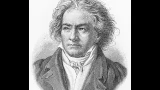 &middot; Sinfon&iacute;a n.&ordm; 9 &middot; Beethoven &middot; Segundo Movimiento - Molto vivace - Presto &middot;