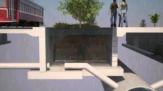 Daldy Street Natural Rain Forest Water Reticulation System