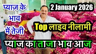 अलवर प्याज़ मंडी भाव आज का आशाराम भाई, Alwar Pyaj Mandi Bhav Today Onion Aaj Ka Rate Live #viral 