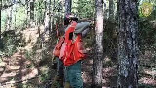 Mississippi Forestry Commission_School Education Piece