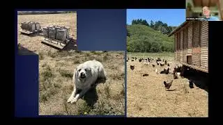 Practical Entrepreneurship Guide for Raising Poultry on Pasture or Integrated with Crops