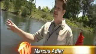 Solar Boat Challenge on Channel 10's Totally Wild