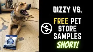 🐶🤪 German Shepherd TRIES Free Pet Store Samples