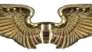 Flight Instructor Badge | Wikipedia audio article