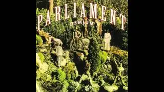Parliament - Little Ole Country Boy