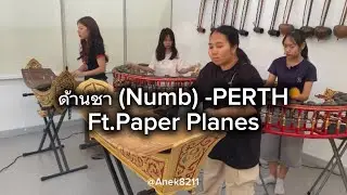 ด้านชา (Numb) - PERTH Ft.Paper Planes 🎶 Cover Ver.ดนตรีไทย