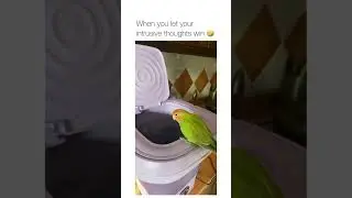 Bird lets her intrusive thoughts win