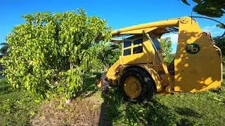 Nick's Island Tropical Fruit Orchard Maintenance