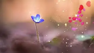 Blue Romantic - Nic się nie kończy
