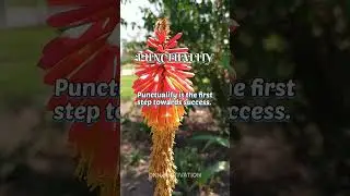 Punctuality | Motivational Quotes #shorts #inspirational