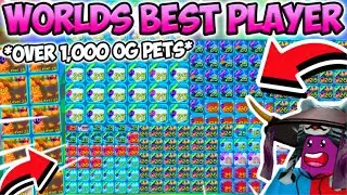 This Player Owns Almost EVERY LAST *OG ROBUX PET* In BubbleGum Simulator!! (Roblox)