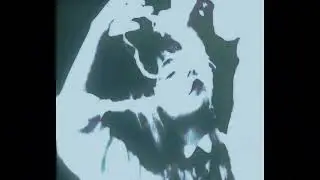 2hollis / hyperpop type beat 