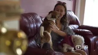Must Love Dogs B&B: Pet Friendly Bed and Breakfast in Rutherglen!