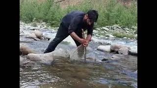 Born to survival  wakeel wilderness  in wild forests location manzgam chiranbal