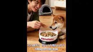 A Day in the Life of a Shiba Inu: The Breakfast Ritual