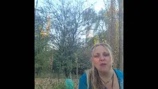 Strange the Video turned on by itself???? With Sarah-Earth Spirit #strange