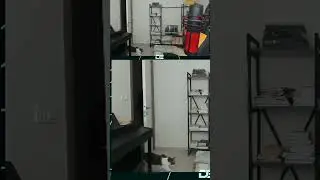 0/5 RENGAR BOT GANK  