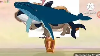 The Humpback Whale Broke The Clock