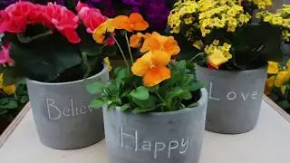 Ted Lare Garden Center