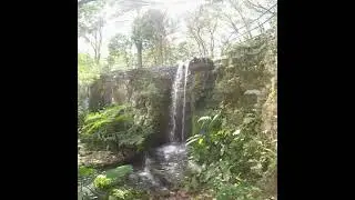Waterfalls in Florida 😱 Cedar woods Nature preserve❤️