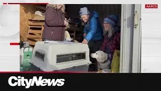 Nearly 300 animals seized during joint rescue operation in Northern Alberta