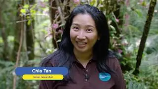 5 Interesting Indri Facts