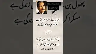 Allama Iqbal Sad Poetry ||Mirza Ghalib poetry ||Urdu Shayari