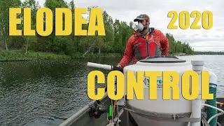 Elodea Control 2020 Report with Dan Coleman