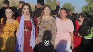 جمايا شيخمند الفنان عبدال علي  يوم الثاني - ديلانا شنكالي - ديلانا ملاني #لاتنسوا_الاشتراك_في_القناة
