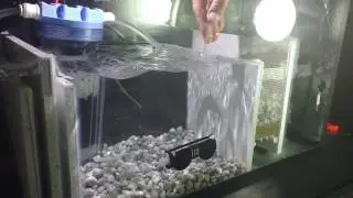 Seachem matrix and sump update