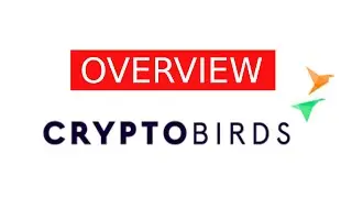 Crypto Birds OVERVIEW