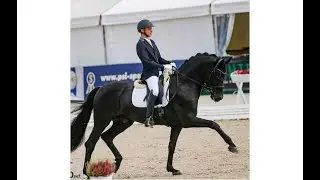 Campeonato do Mundo de Cavalos Novos de Dressage 2021