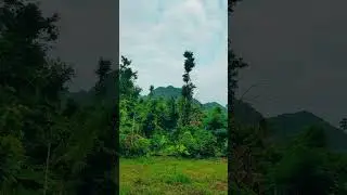 Bali&rsquo;s Mountains - A Tranquil Meditation Video