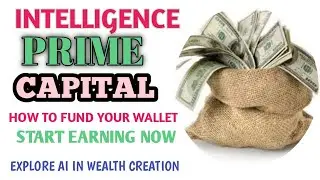 INTELLIGENCE PRIME CAPITAL. HOW TO FUND YOUR ACCOUNT. EXPLORE THE AI IN WEALTH CREATION TODAY.