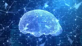 Is Your Brain a Quantum Receiver?