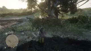 Dirty Girl RDRO Fail Funny Red Dead Redemption 2 Online