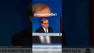 ABC Admits Democrats Caused Shutdown: Explosive Clip Exposed